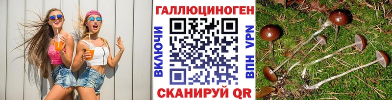 Псилоцибиновые грибы мухоморы  МЕГА вход  Лабинск 